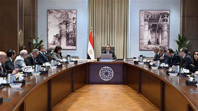 الحكومة تدرس إعداد تشريع لتنظيم السوق العقارية في مصر