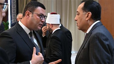 تخصيص 16.8 فدان لإنشاء منطقة لوجيستية في الميناء الجاف بمدينة «السادات»