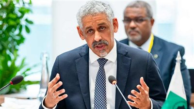 صندوق التنمية الأفريقي يُحشد تمويلات وموارد بقيمة 11 مليار دولار أمريكي