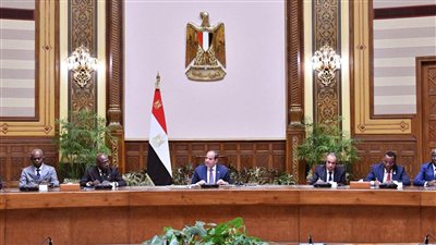 الرئيس السيسي: الاستثمارات المصرية في أفريقيا تتجاوز 12 مليار دولار