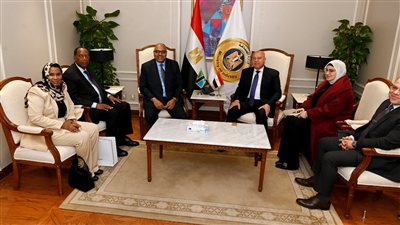 مصر وتنزانيا تبحثان إنشاء منطقة لوجستية و مشروعات صناعية مشتركة