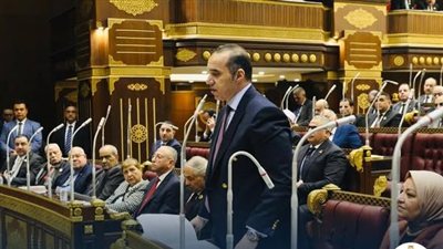 مجلس الشيوخ يوافق على تعديلات قانون «الكهرباء» لضبط المال العام