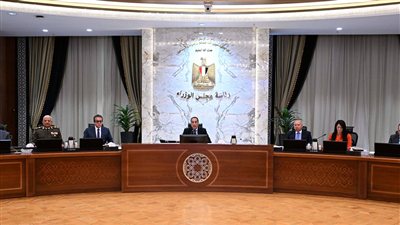 الحكومة تعتمد المعايير الاسترشادية لدراسة إعادة هيكلة الهيئات الاقتصادية