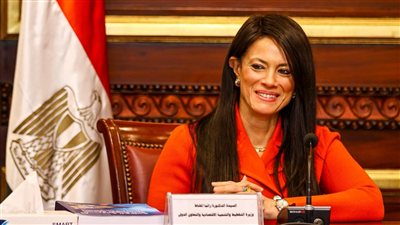 «المشاط»: ارتفاع التمويلات التنموية الميسرة للقطاع الخاص إلى 17 مليار دولار