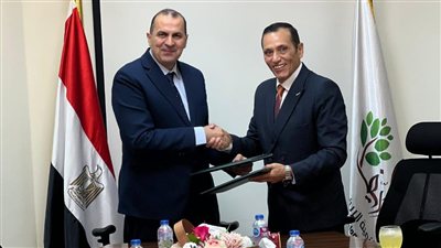 شركة «تنمية الريف المصري» تطلق مشروعًا لتوصيل الكهرباء بـ 25 مليار جنيه