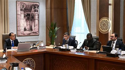 مدبولي يؤكد استعداد مصر لاستضافة مقر الآلية الأفريقية للشراء المُوحد