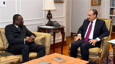 وزير الخارجية يؤكد دعم مصر لتعزيز منظومة الصحة والأمن الدوائي في أفريقيا
