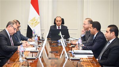 مصر تطالب بعقد جلسة طارئة لمجلس السلم والأمن الأفريقي حول «أرض الصومال»