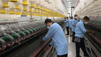 «القابضة للغزل والنسيج» تحقق صادرات بقيمة 2.3 مليار جنيه خلال 2024–2025