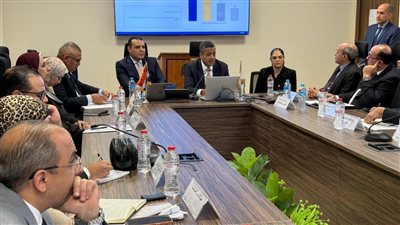 مصر وقطر تبدآن دراسة مسودة إتفاقية الشراكة الاقتصادية الشاملة