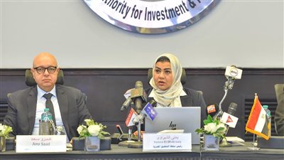 وزارة «الاستثمار» تبدأ التحقيق في زيادة واردات الصاج المدرفل والمجلفن