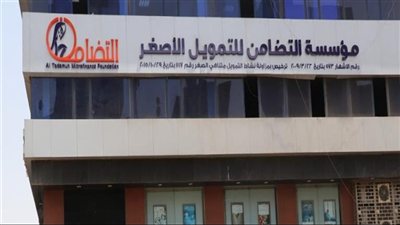 وزارة «العمل» تعلن وظائف للسيدات في مؤسسة التضامن للتمويل الأصغر بالجيزة