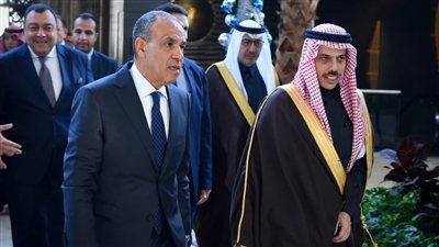 وزيرا خارجية مصر والسعودية يبحثان سبل تعزيز العلاقات الثنائية وتطورات القضايا الإقليمية