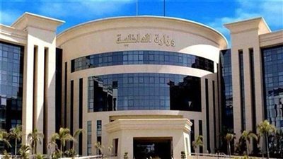 «الداخلية» تقرر السماح لـ 42 مواطنًا مصريًا بالحصول على جنسيات أجنبية