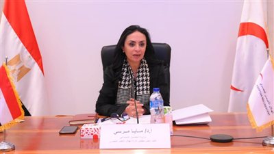 وزارة «التضامن» تقر قيد 4 جمعيات في محافظتي القاهرة ودمياط