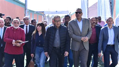 البنك الأهلي المصري يسلم عددًا من البيوت والمشروعات الصغيرة بمحافظة أسوان