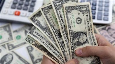 سعر الدولار في البنوك المصرية اليوم السبت 17 يناير 2026