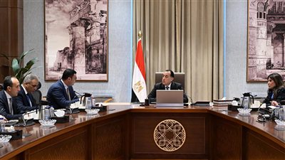 الحكومة تقر تعويضات 1042 فدان من أراضي مشروع «علم الروم» بالساحل الشمالي