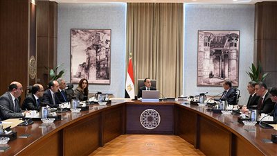 الحكومة تخصص قطع أراضي لإقامة مراكز إيواء للكلاب الضالة في 4 محافظات