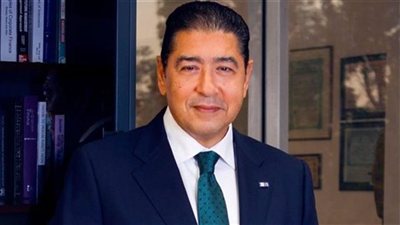 هشام عز العرب يتوقع انخفاض أسعار الفائدة إلى 12% بنهاية 2026