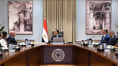 رئيس الوزراء يستعرض جهود تعظيم الاستفادة من الخامات التعدينية والمحجرية