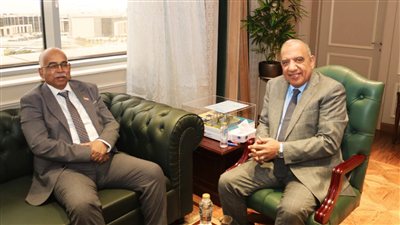 مباحثات مصرية - سودانية لتعزيز التعاون في مجالات الكهرباء والطاقة المتجددة