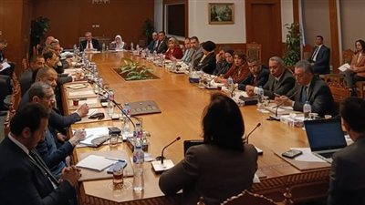 انعقاد اللجنة الدائمة لمتابعة العلاقات المصرية – الإفريقية 