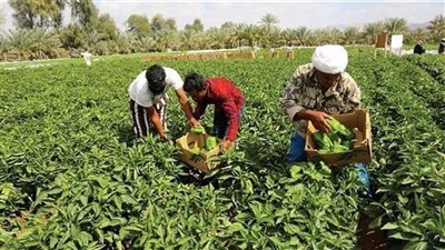 تعديل النظام الداخلي لـ 5 جمعيات زراعية في محافظتي الغربية والبحيرة