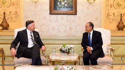 وزير «الخارجية» يبحث سبل تعزيز الشراكة الاستراتيجية بين مصر والولايات المتحدة الأمريكية