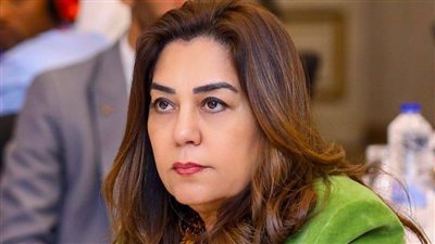 «التنمية المحلية»: تشغيل مجزر مدينة موط بالوادي الجديد بتكلفة 21 مليون جنيه