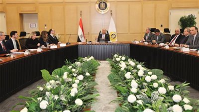 تعاون مصري - نمساوي لتصنيع عجل القطارات ومعدات صيانة خطوط السكك الحديدية