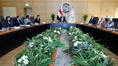 إنشاء مجمع لإنتاج الألواح الصناعية في مصر باستثمارات 10 مليارات دولار