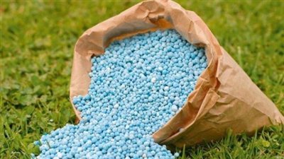 الحكومة تكشف حقيقة نقص التقاوي والأسمدة المعتمدة لزراعة القمح