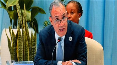 وزير «الخارحية» يستعرض رؤية مصر لتعزيز الشراكة الاستراتيجية بين أفريقيا وإيطاليا