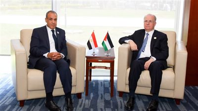 وزير «الخارحية» يؤكد أهمية الإسراع بتشكيل ونشر قوة الاستقرار الدولية في غزة