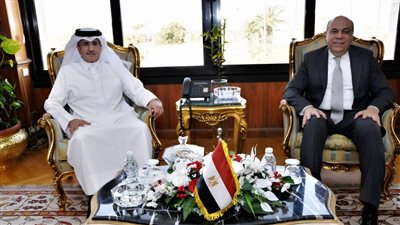 مباحثات مصرية - قطرية لتعزيز التعاون المشترك في مجال الطيران المدني