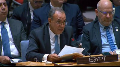 وزير «الخارجية» يؤكد على ثوابت الموقف المصري تجاه القضية الفلسطينية