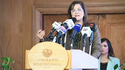 السعيد: 31.4 مليار دولار تحويلات المصريين بالخارج خلال 2020-2021