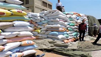 ارتفاع مخزون الغلال بميناء الإسكندرية إلى 955 ألف طن