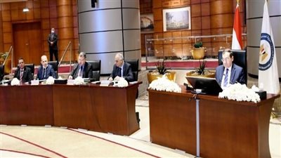 75 مليار جنيه حجم أعمال بتروجت في المشروعات داخل وخارج مصر