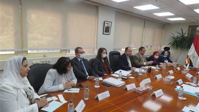 وزير المالية يبحث دعم الإسثمارات المصرية - السويسرية المشتركة