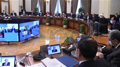 «الوزراء» يوافق على إعفاء 20 ألف طن دواجن مجمدة من الضرائب الجمركية