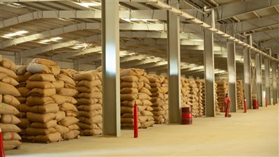 البنك الزراعي المصري يعلن جاهزيته لبدء موسم توريد القمح المحلي 2022