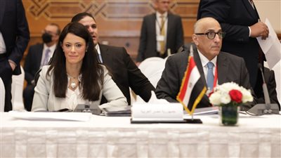 «المشاط» تشارك في الإجتماعات السنوية للهيئات والمؤسسات المالية العربية