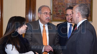 مجلس الوزراء يوافق على تسهيلات للشركات المنفذة لمدينة توشكى الجديدة