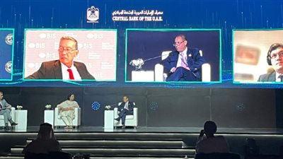 عمران يستعرض جهود الرقابة المالية للتوجه نحو التمويل الأخضر في مصر