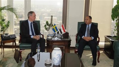 وزير المالية: الاقتصاد المصرى قادر على التعامل مع التحديات الخارجية الحالية