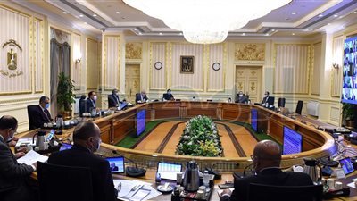 تأسيس شركة مساهمة مصرية سودانية لتسمين وإنتاج المواشى