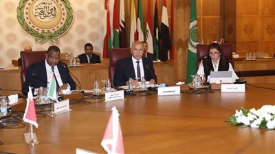 الوزير يؤكد حرص مصر على تعزيز حركة النقل لربط الدول العربية 