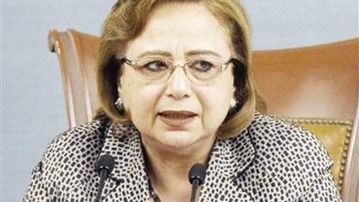 الأهوانى تلتقى وزير